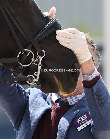The FEI noseband measurement device was used in the warm-up but not for the check at the end of the test. We saw stewards tested tightness with the fingers on the side