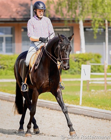 „Losgelassenheit of the horse is the precondition for progress and its daily improvement is as important as finger exercises for the pianist" -- (Udo Bürger, Vollendete Reitkunst / The Way to Perfect Horsmanship)