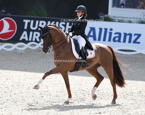 Charlotte Defalque on her 19-year old Botticelli (by Vivaldi x Koss)