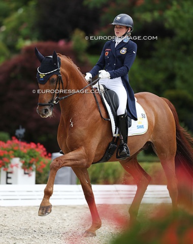 Mary Sophie Haid-Bondergaard on Lohmann's Rossi