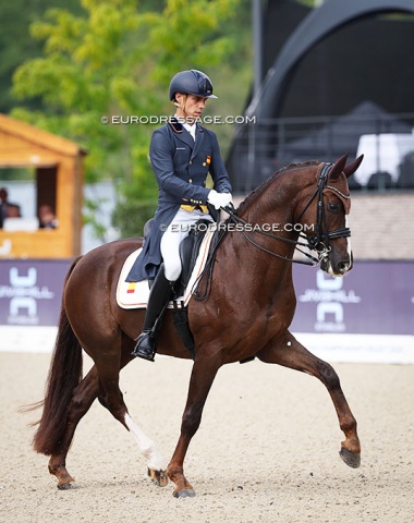 Spanish team new comer Francisco "Curro" Benitez Sanchez on the green 9-year old Lord Platinum (by Ferguson x Bretton Woods)