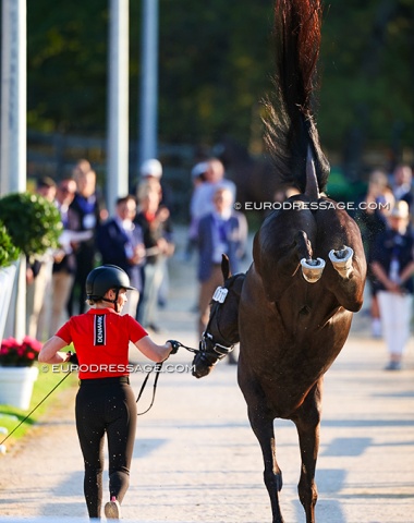 Rikke Dupont's Grand Galiano was frisky