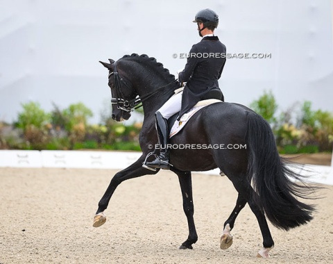 Justin Verboomen and Zonik Plus