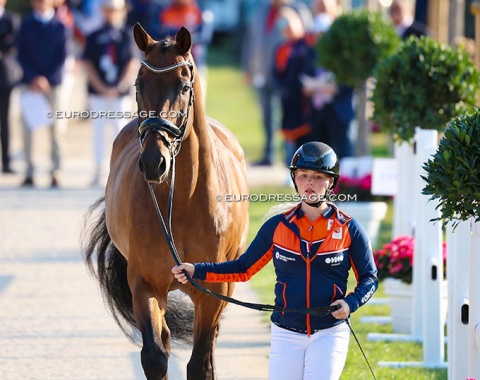 The youngest of them all:  20-year old Rowena Weggelaar with Don Quichot
