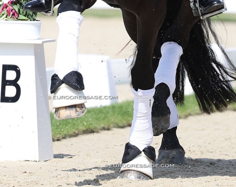 The black pads make it look like bow ties