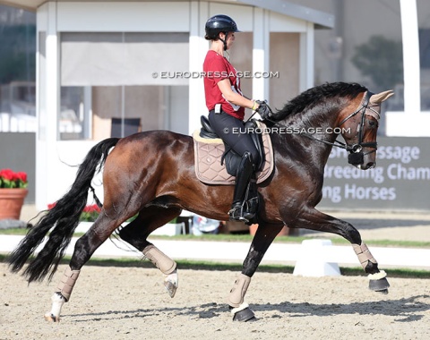 Carina Cassoe Kruth on 25_wcyh_cassoe_hotdriver_4653