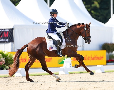 American Hope Cooper and U.S bred KWPN stallion O Romeo S (by Charmeur x UB40). Underscored with its 82.40% although he needs to take a bit more weight on the hindquarters for his age