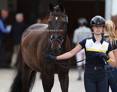 Tayla Desmet on her home bred Dark Diamond (by Diamond Hit out of Zaubermaus (by Zonik))