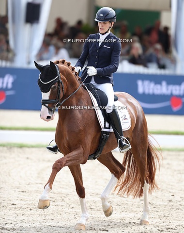 Beatrice Hoffrogge on Because of You (by Benicio x Dimaggio): lovely mare, so well presented, but there was a miscommunication in the canter strike off