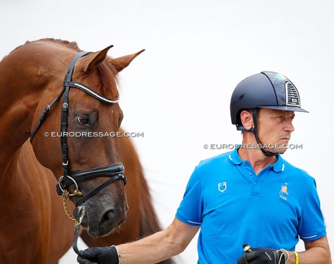 Antonio Sala and Prince Vince (by King Karim x Bordeaux): noses in the same direction