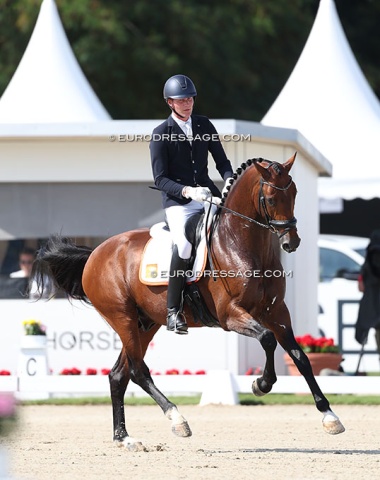 Diederik van Silfhout on O Toto van het Wimphof (by Toto Jr x Riccione)