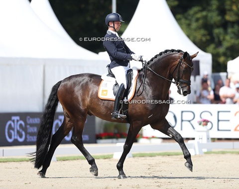 Bart Veeze on Roman Empire (by Romanov x Sir Sinclair), the full brother of the double WCYH champion Red Viper