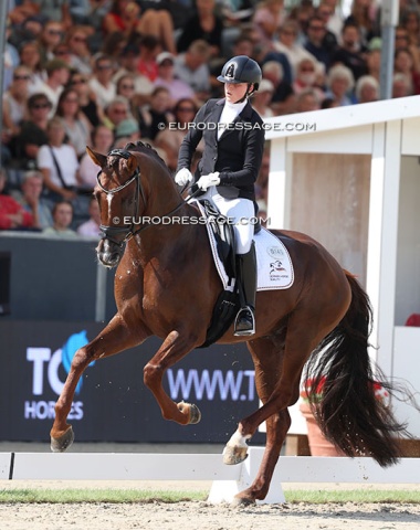 Sixth placed Lisa Wernitznig on Viva Diamond DSP (by Viva Gold x Don Diamond). They rode a really nice test, but overall the horse could be more uphill oriented and with poll as highest point and not the 3rd vertebra