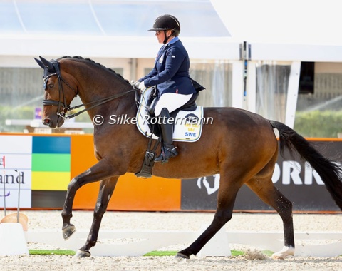 Camilla Christensen and her partner of the past years, the now 12-year-old DWB Fürsten (by Fürstenball x Londonderry).