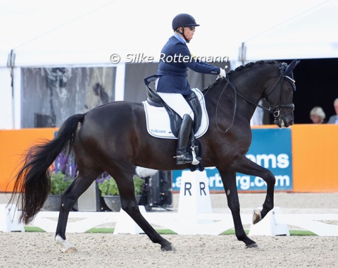 Etzner on Goldstrike B.J. (by Dreamcatcher x Jazz)