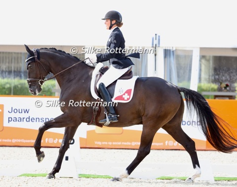 Swiss Nicole Geiger and the Dante Weltino x De Niro bred Oldenburg Donar Weltino, who competed at his first Euros