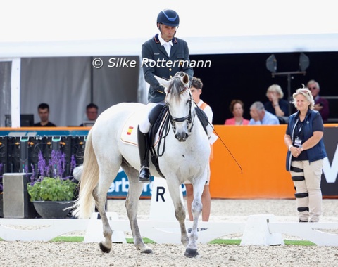 The Grade V Grand Prix A test requires half pirouettes in walk