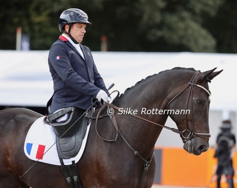 Vladimir Vinchon presented Pegase Mayenne in a snaffle in Ermelo