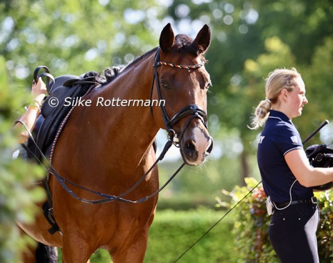 Peeckaboo! Melanie Wienand’s Lemony’s Loverboy (by Lemony’s Nicket x Fürst Piccolo)