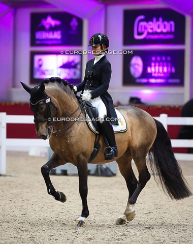 Dutch based Irish rider Jennifer Harnett on Lusitano Eximio