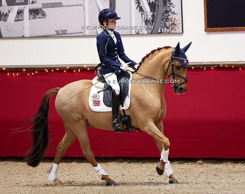 Brit Violet Hawkins on DZL Royal Sunrise (by Domingo' Holden Surprise x Brockwell Prince Charming)