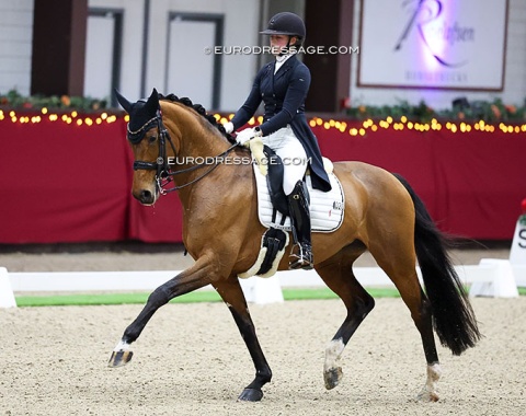 Micky Schelstraete on Manila Grace van de Osseweide (by Guardian S x Johnson)