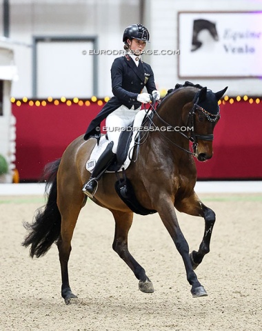 German Marie Sohler on Askehavens Beau Sancy (by Don Olymbrio x Sandro Hit)