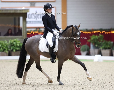 Fay van den Brink on routinier, 16-year old N-Constantino van de Bolkerhoeve