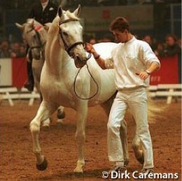Uniform at the 2000 KWPN Stallion Licensing :: Photo © Dirk Caremans
