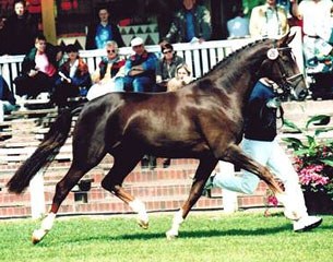 Donna Doria at the 2000 Oldenburg Elite Mare Show in Rastede
