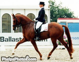 Evi Strasser on Quantum Tyme at the 200 World Young Horse Championships