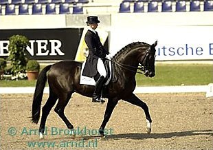Annemiek van der Vorm on Incredible (by Voltaire) :: Photo © Arnd Bronkhorst
