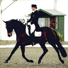 Heike Holstein on Burgfraulein at the 2002 CDI-W Lipica