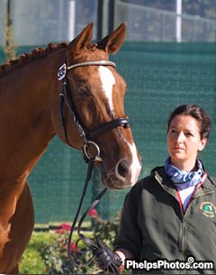 Anna Merveldt Steffens and Fosbury at the vet inspection at the 2002 World Equestrian Games :: Photo © Mary Phelps