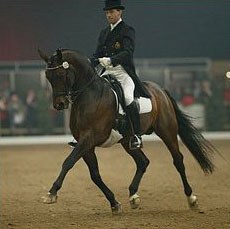 Johan Zagers and Mister Saygon at the 2002 Zwolle International Stallion Show :: Photo © Dirk Caremans