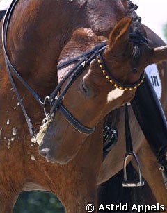 Rusty at the 2003 CDIO Aachen :: Photo © Astrid Appels for Phelpsphotos.com