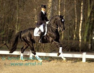Delphine Meiresonne and Don Renoir van de Helle :: Photo © Arnd Bronkhorst