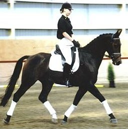 Stephanie Tovey on Dominik T