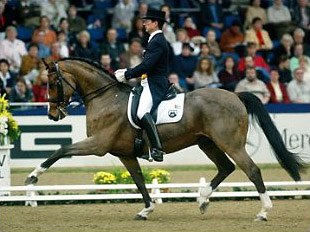 Martin Schaudt on Loesdau's Loriot :: Photo © Baumann
