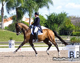 Sue Blinks on Flim Flam at the 2003 CDI Wellington :: Photo © Phelpsphotos.com