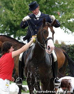 Groom working hard at getting Jan Brink's Briar ready for his ride :: Photo © Astrid Appels