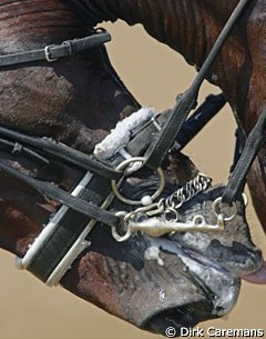 Horse in the rollkur hyperflexed position :: Photo © Dirk Caremans