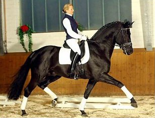 Lisa Wilcox on Rubinero