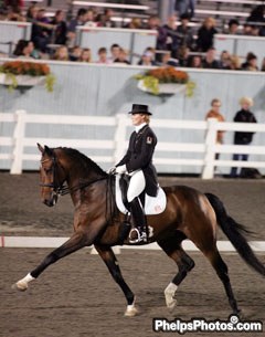 Leslie Reid on Mark at the 2004 Dressage at Devon :: Photo © Phelpsphotos.com