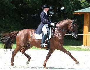 Leonie Bramall on Wild Dance :: Photo © Photec.de