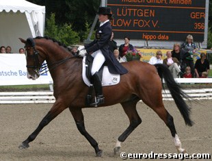 Anna Katharina Luttgen on Slow Fox V :: Photo © Astrid Appels