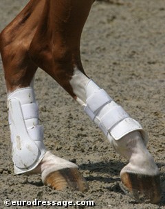 Hindlegs in the piaffe :: Photo © Astrid Appels
