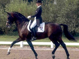 Petra van Esch on Sultano
