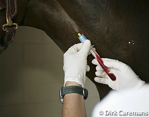 Horse getting tested for doping at the 2004 Olympic Games in Athens :: Photo © Dirk Caremans