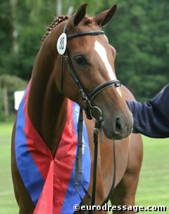 Love Story V, Champion of the 2004 Oldenburg Elite Mare Show in Rastede :: Photo © Astrid Appels